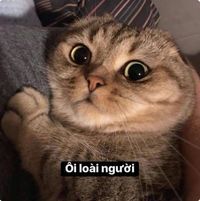 Thạc Thạc