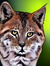 Misty Lynx