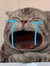 Clarise...