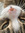 Eleanor Bevan | 1 comments