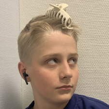 Martinalm