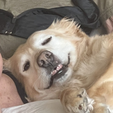 Maddie
