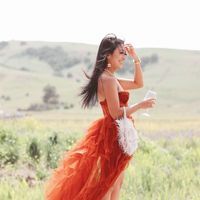 Ann Zhao