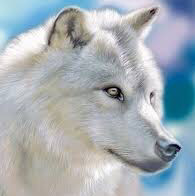 SilverWolf