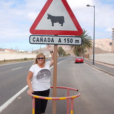 Donna Nicholson Geib