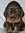 member photo member photo