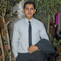 علاء النجار