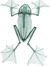 madalo