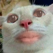 Aliss 