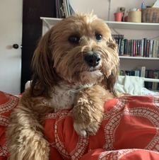Lili