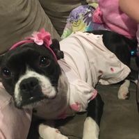 Chazzy Chasmellinger