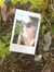 Sofie S...