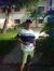 Obed Chiru