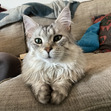 Lillian