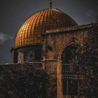 طارق أبو خضير