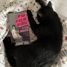 bella ˚ ༘♡ ⋆｡˚