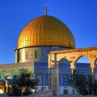 زيد المزكلدي