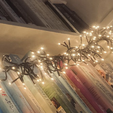 A Reader (appleinducedsleep)