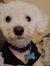 Erin