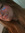 Hannah