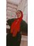Maryam ...