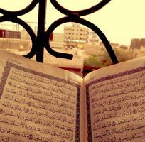 عائشة العولقي