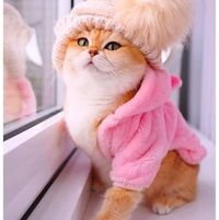 عالية الحسيني