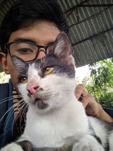 Yassir Amri