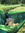 member photo member photo
