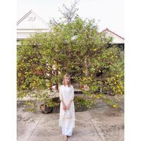Trâm Anh