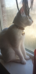 Анударь Ганболд