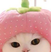 フスヌル フスヌル