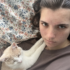 linnea ☆ﾟ. * ･ ｡ﾟ