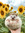 brbfangirlingrn