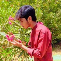 Ŕìžwäņ Ğůlşhàņ