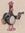 Eve