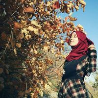Alaa Wahdan