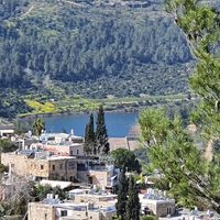 דוד איש שלום