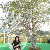 Winnie Lim
