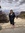 Mary Ann Bernarducci | 2 comments