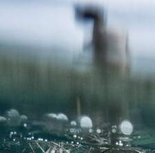 Βιβή Ανδρονικίδου