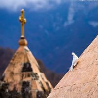 Նաիրա Բալայան