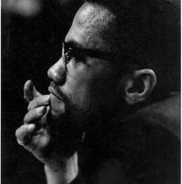 عبدالرحمن شاهين