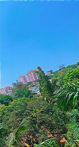 Fareedah