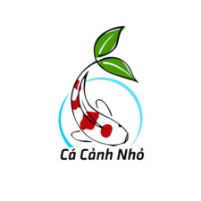 Cá Cảnh  Nhỏ