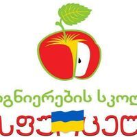 მერი ნებიერიძე