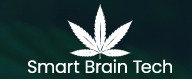 Smartbraintech