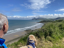 Graham “Smell the Ink”