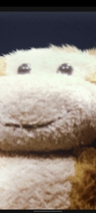 Ryan