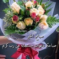 طرائف الحكمة